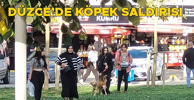 KÖPEĞİN SALDIRDIĞI ÇOCUK YARALANDI