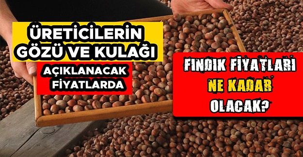 ÇAYA VERİLEN ZAM FINDIĞA DA VERİLECEK Mİ?