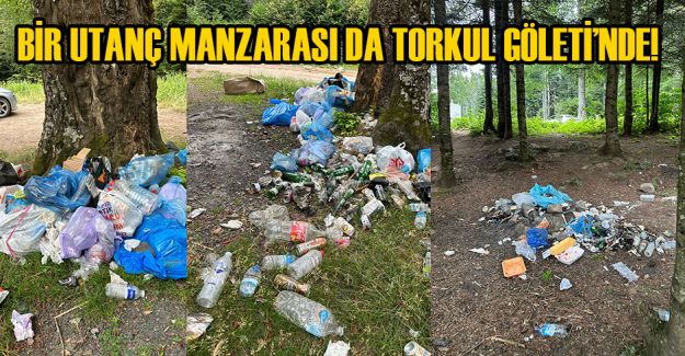 DÜZCE’NİN DOĞAL GÜZELLİKLERİNİ MAHVEDİYORLAR