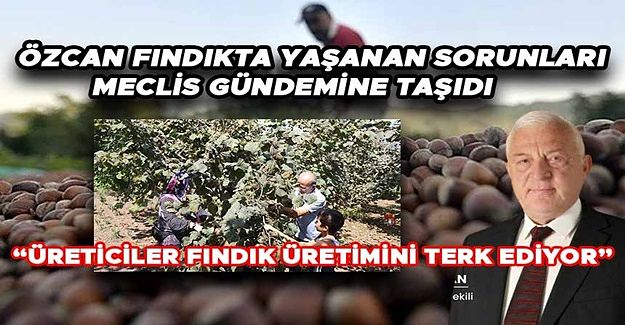 “TÜRK FINDIĞI TÜCCAR VE YABANCI FİRMALARIN İNSAFINA TERK EDİLDİ”