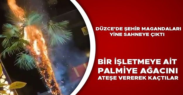 POLİS EKİPLERİ 3 ŞÜPHELİYİ YAKALAMAK İÇİN ÇALIŞMA BAŞLATTI