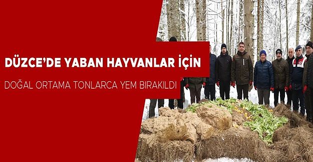 ÇALIŞMALARA DÜZCE VALİSİ SELÇUK ASLAN’DA KATILDI