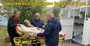 7/24 KESİNTİSİZ AMBULANS HİZMETİ