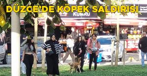 KÖPEĞİN SALDIRDIĞI ÇOCUK YARALANDI