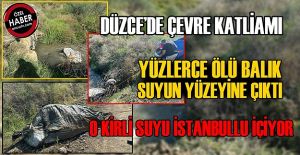 DERE YATAĞINDAKİ ATIKLARI JANDARMA EKİPLERİ ÇIKARTTI