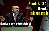 Başkan Erdoğan müjdeyi verdi TMO 14 LİRADAN FINDIK ALACAK 